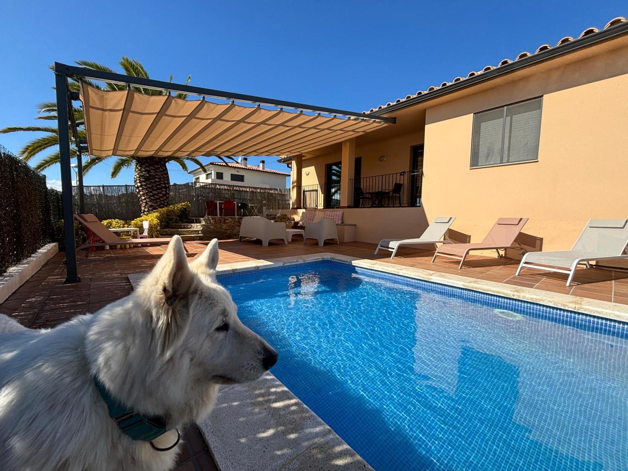 Villas Medes Mar - Plus Costa Brava L'Estartit Exterior photo